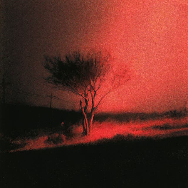 Piss In The Wind — album cover